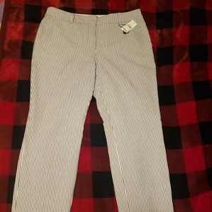 Express ankle pants